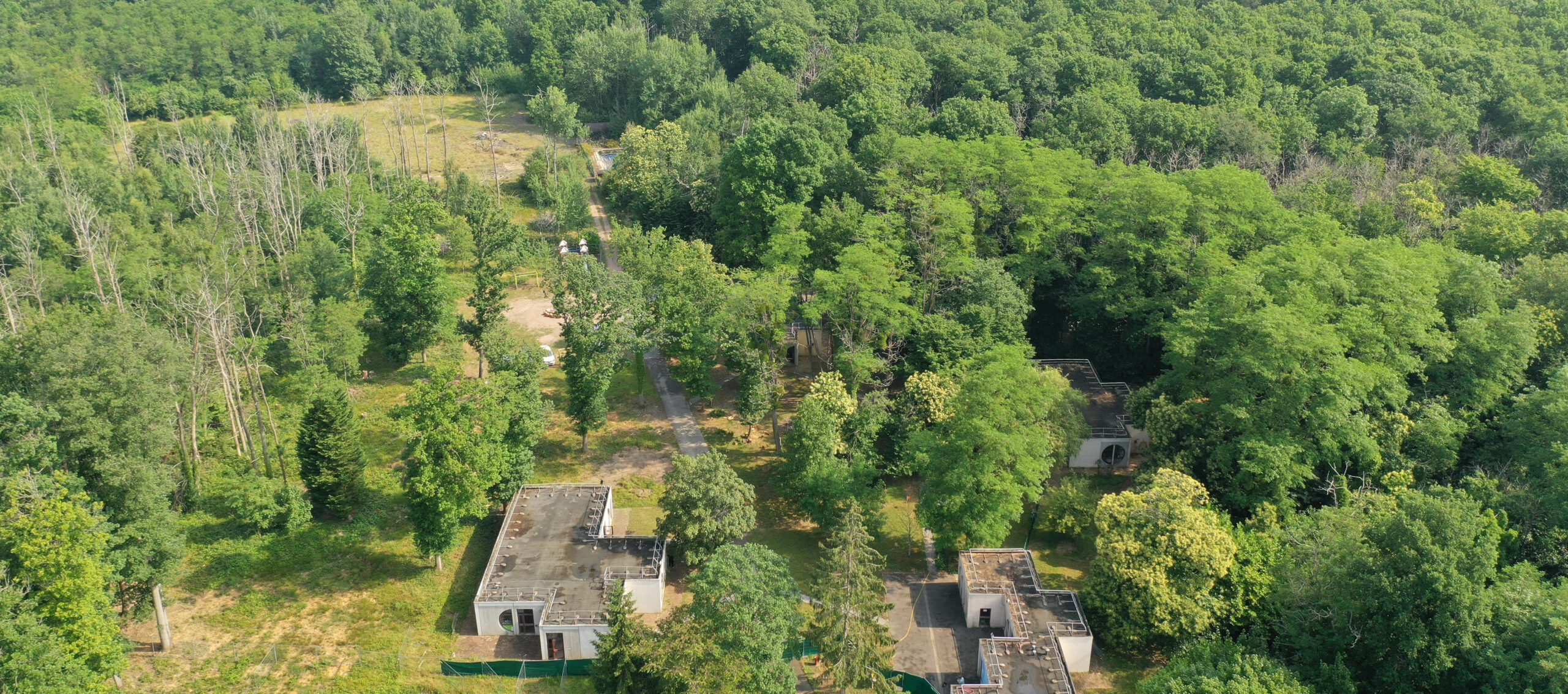 L’école EMMI.91 vue du ciel, au milieu de la forêt